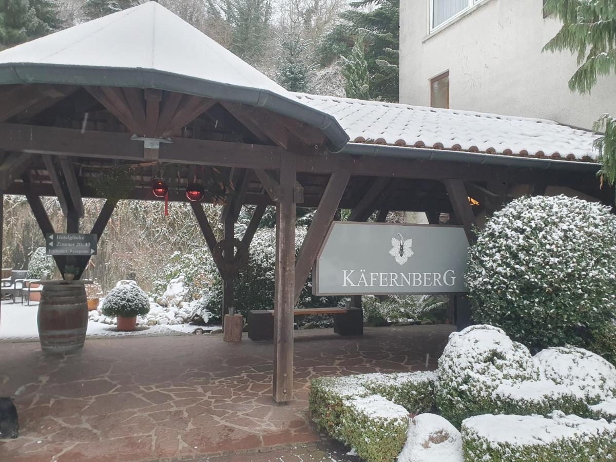 Käfernberg Hotel - Restaurant Alzenau Exterior foto